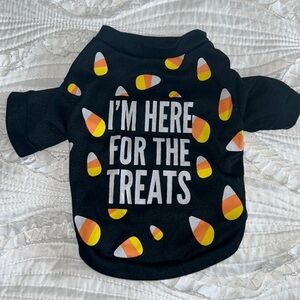 Halloween Outfit for Small Dog